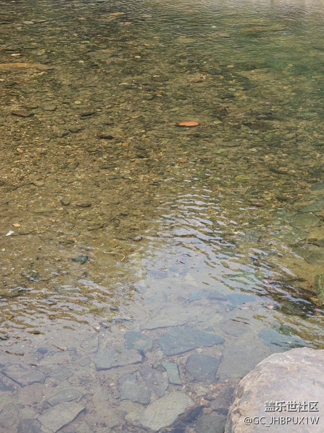 【秋影拾光】秋影拾光