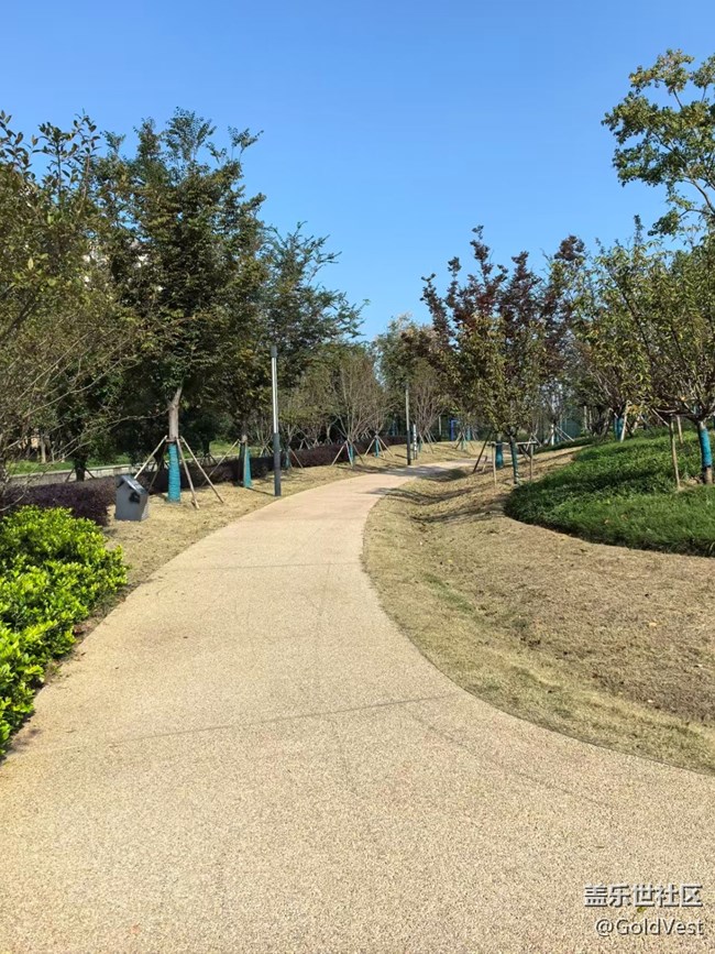 【與秋天合個影】金桂飄香