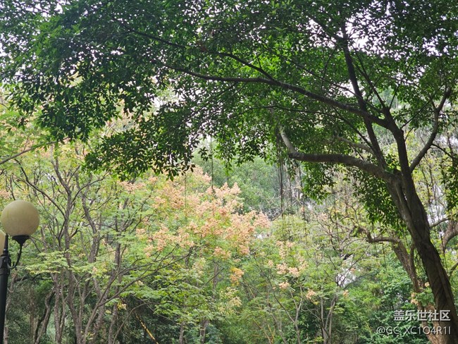 【秋影拾光】秋天