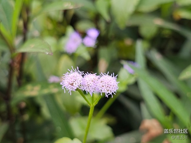 【與秋天合個影】陰天