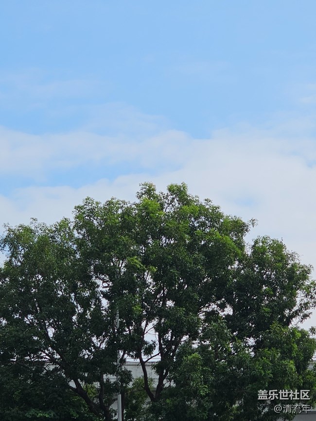 【與秋天合個(gè)影】好時(shí)光