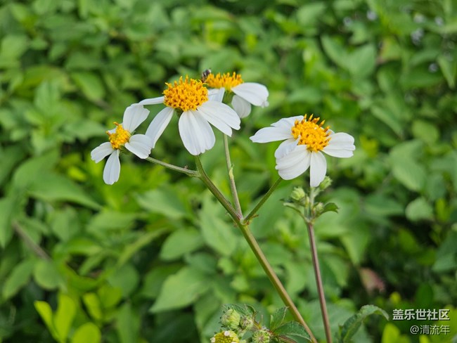 【與秋天合個(gè)影】好時(shí)光