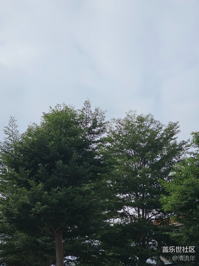 【與秋天合個(gè)影】好時(shí)光