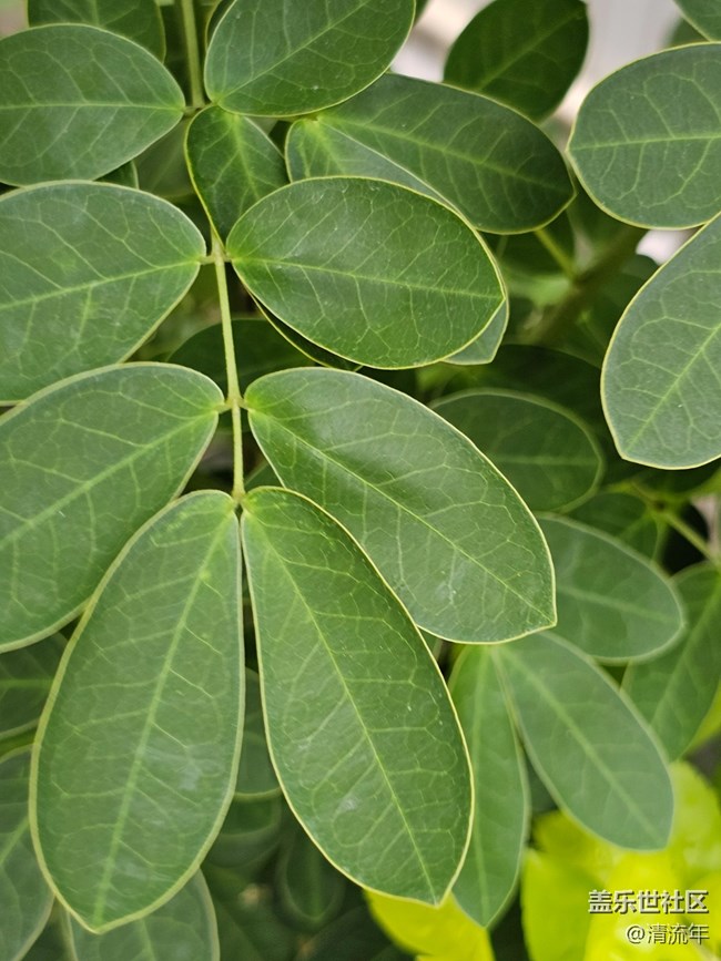 【與秋天合個(gè)影】秋日溫度