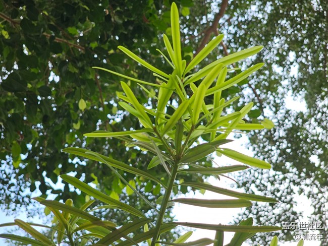 【與秋天合個(gè)影】秋日溫度