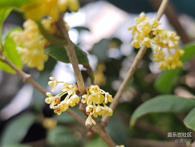 【與秋天合個(gè)影】秋日溫度