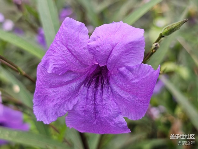 【與秋天合個影】陰天