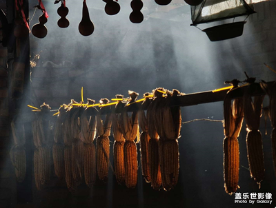 北京農(nóng)家院