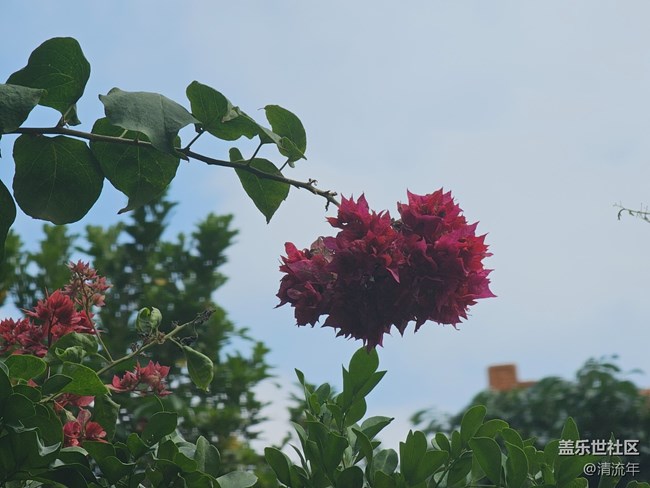 【與秋天合個(gè)影】秋日溫度