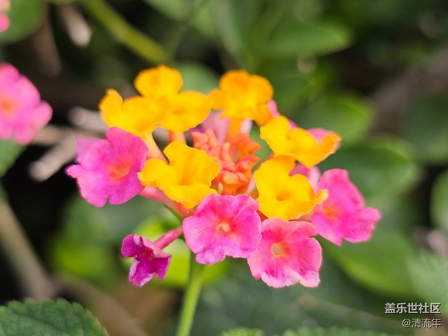 【與秋天合個(gè)影】秋日溫度