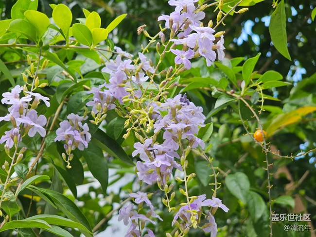 【與秋天合個影】陰天