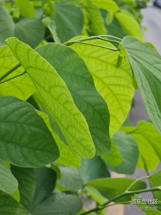 【與秋天合個(gè)影】好時(shí)光