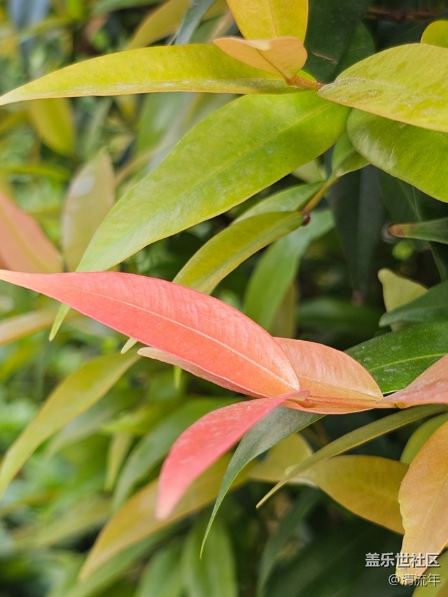 【與秋天合個(gè)影】好時(shí)光