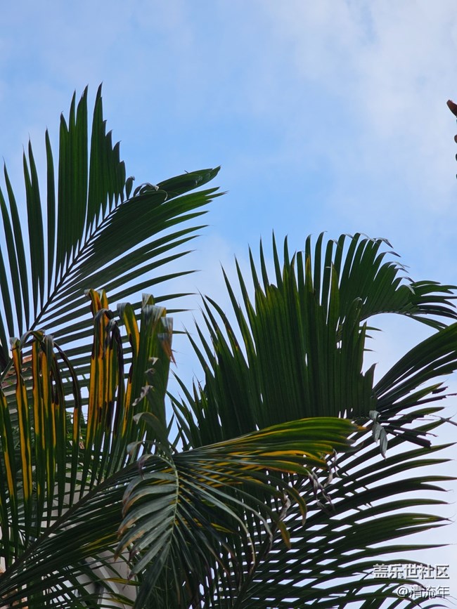 【與秋天合個(gè)影】秋日溫度