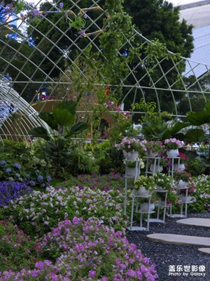 【奇妙的視角】+廣州園博會(huì)