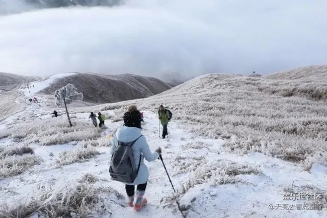 綠色武功山（三）