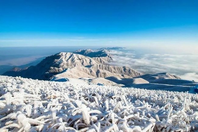 綠色武功山（三）