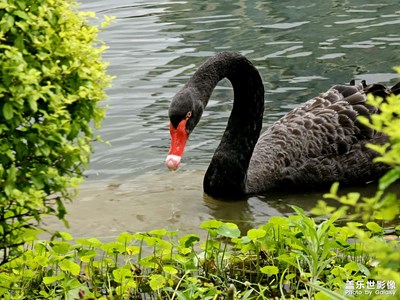 【奇妙的視角】+生活觀察