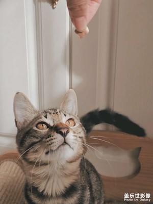 男孩子就是庫庫的