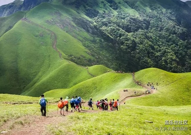 綠色武功山（四）