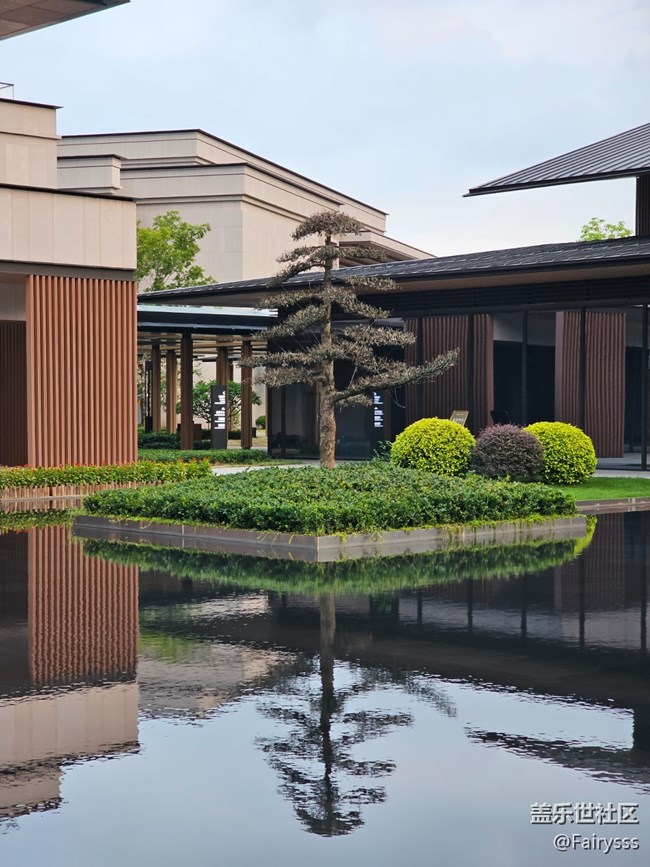 【一葉知秋】定格此刻