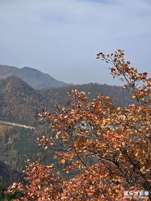 【奇妙的視角】+秦嶺紅葉