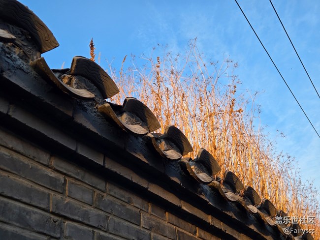 【一葉知秋】定格此刻