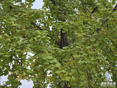 【奇妙的視角】美妙的世界