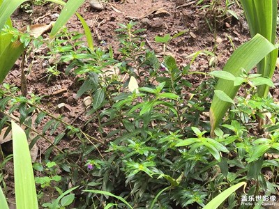 【奇妙的視角】戶外景色