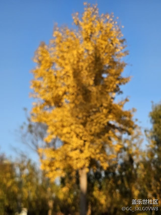 升級(jí)8.0以后用2倍照相，無法對(duì)焦