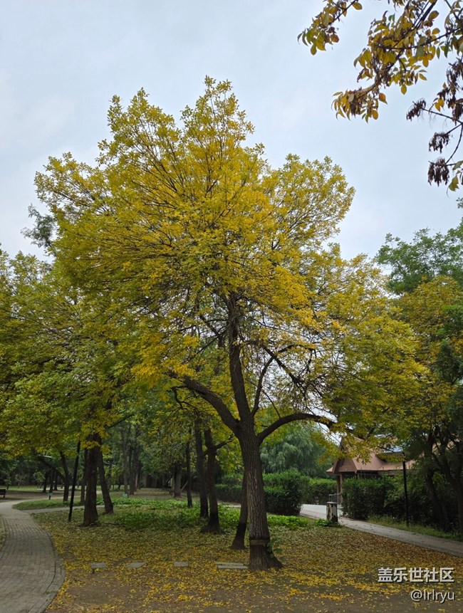 【秋季采風計劃】微涼的秋