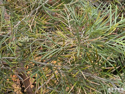 【奇妙的視角】+不同視角看世界