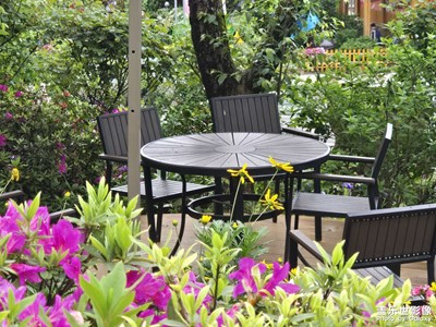 【奇妙的視角】自然景象