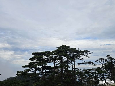 【奇妙的視角】勁松