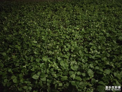 【奇妙的視角】日常點(diǎn)滴