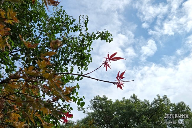 【東北的那一抹紅】漫步隨拍