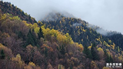 【奇妙的視角】+理小路雪山紅石彩林