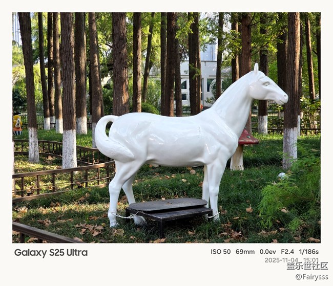 【一葉知秋】漫步