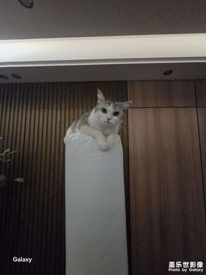 【城市生命力】+重慶