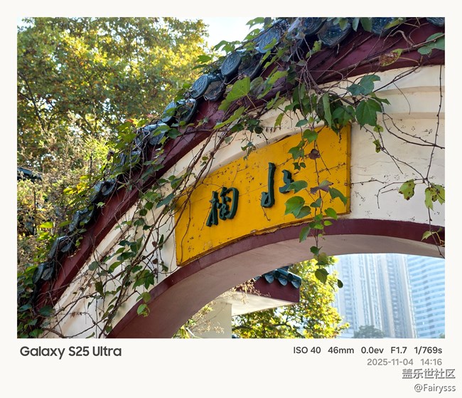 【一葉知秋】漫步