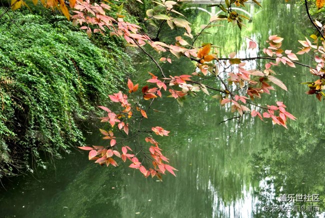 【東北的那一抹紅】漫步隨拍