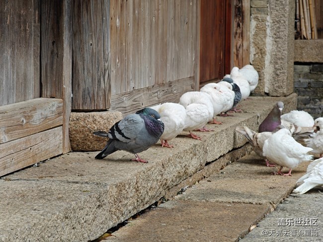 【國慶旅途】游時尚古鎮(zhèn)