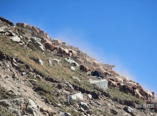 【國慶旅途】旅途記憶，在天地遼闊處生根