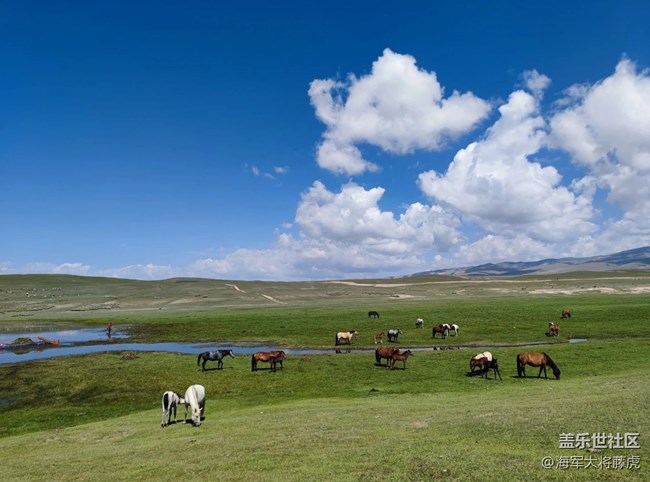 【國慶旅途】旅途記憶，在天地遼闊處生根