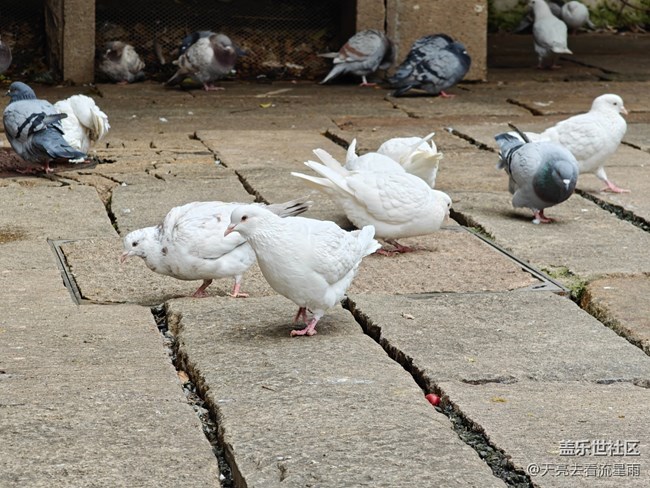 【國慶旅途】游時尚古鎮(zhèn)