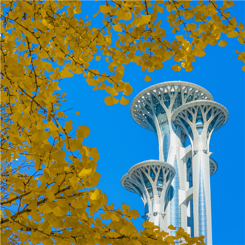 Galaxy S23 Ultra 奥森的秋天