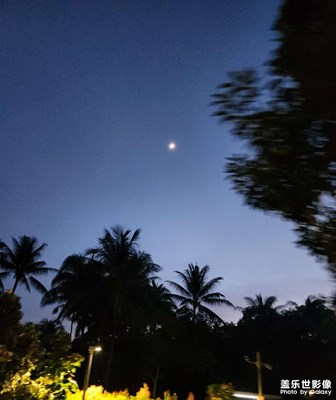 【城市生命力】夜跑