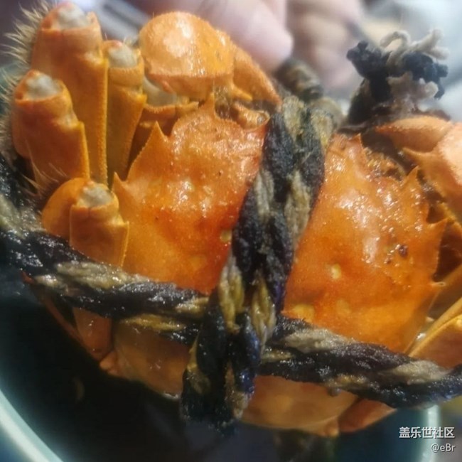 【暖鍋之約】大閘蟹