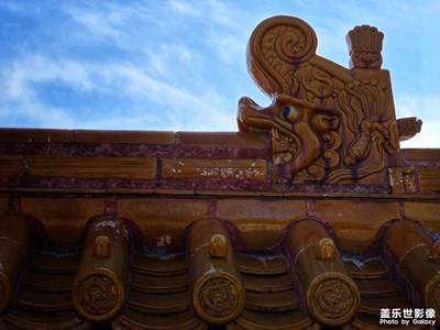 【城市生命力】地壇之秋