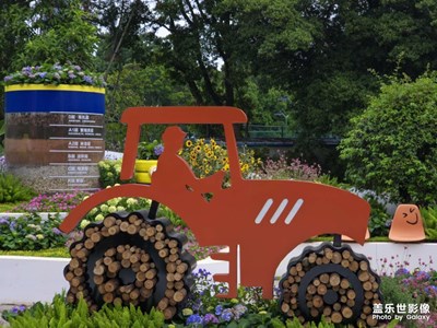 【城市生命力】+廣州花城